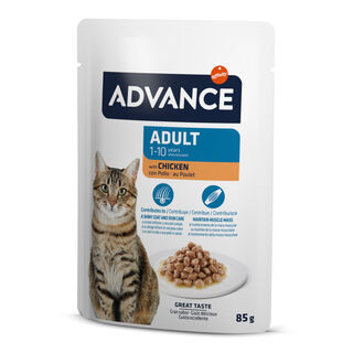 Advance Adult Bocaditos com Frango em Saqueta em molho para gatos